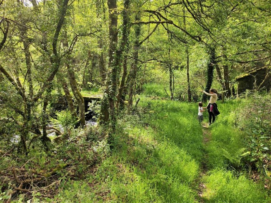 Casa Carmina: Casa Para Pequenos Grupos En El Corazon De Galicia O Irixo Exteriér fotografie