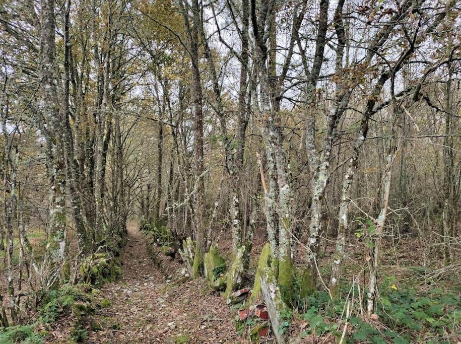 Casa Carmina: Casa Para Pequenos Grupos En El Corazon De Galicia O Irixo Exteriér fotografie