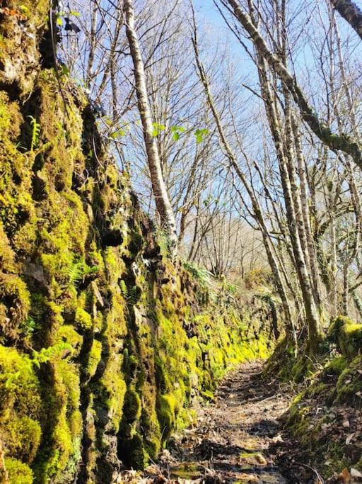 Casa Carmina: Casa Para Pequenos Grupos En El Corazon De Galicia O Irixo Exteriér fotografie