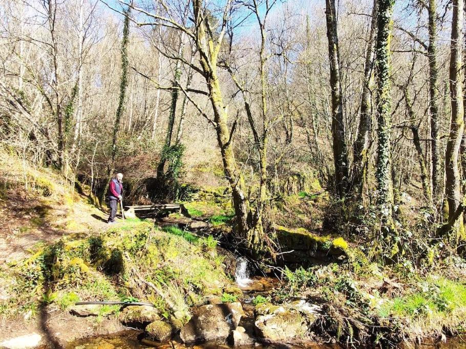Casa Carmina: Casa Para Pequenos Grupos En El Corazon De Galicia O Irixo Exteriér fotografie